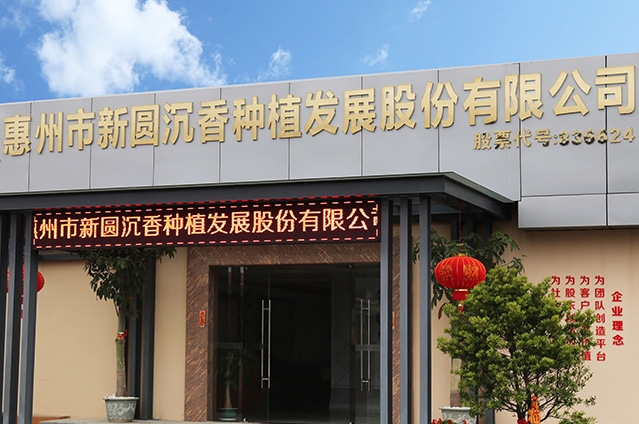公司概況