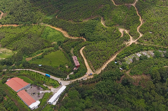 沉香基地
