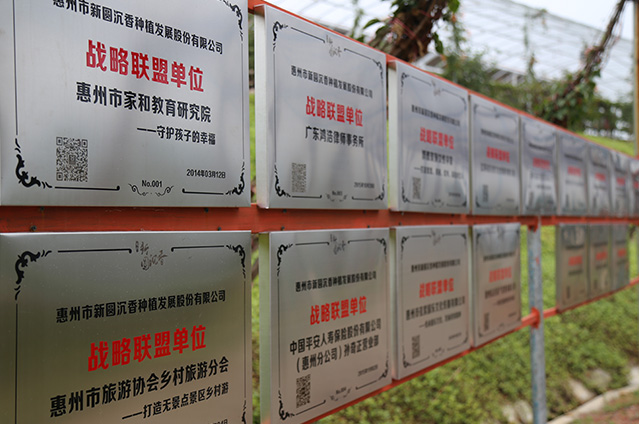 戰略合作