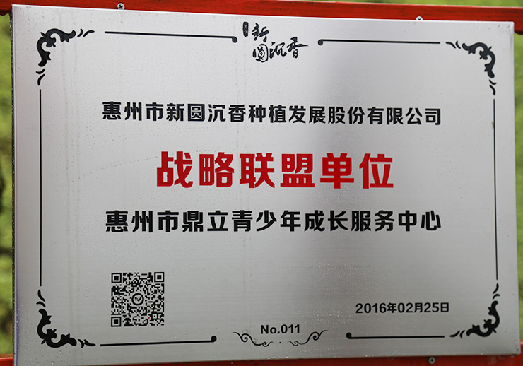 惠州市鼎立青少年成長服務中心