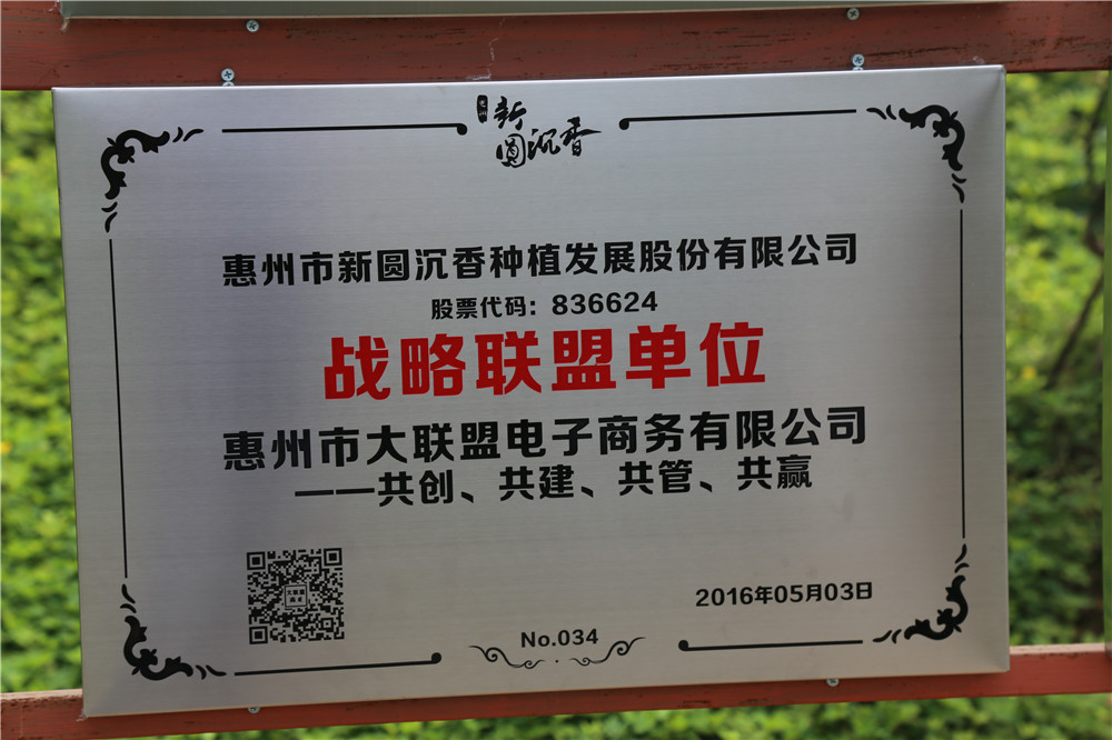 惠州市大聯盟電子商務有限公司
